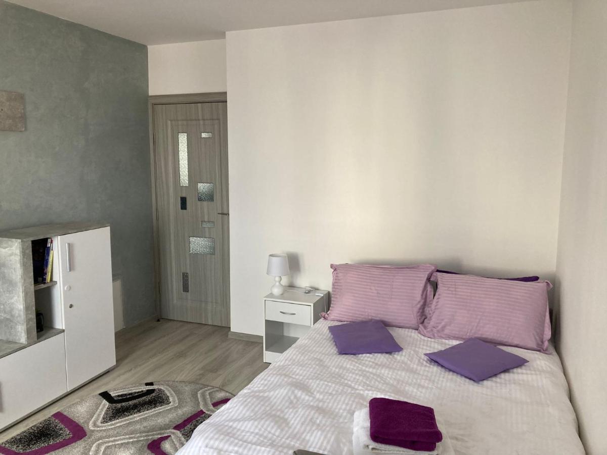 Apartament Brifla Comfort Mures Târgu-Mureş Εξωτερικό φωτογραφία