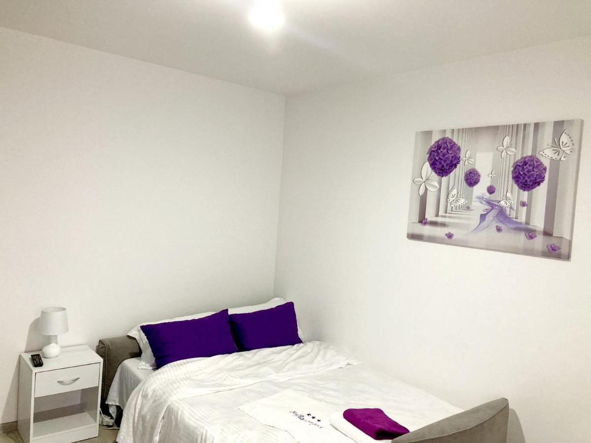 Apartament Brifla Comfort Mures Târgu-Mureş Εξωτερικό φωτογραφία
